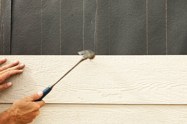 Best Engineered Wood Siding  in Benson, AZ